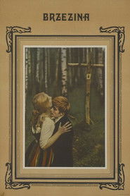 The Birch Wood Poster