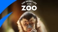 The Secret Life of the Zoo  