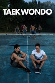 poster Taekwondo