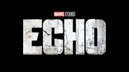 Backdrop of Echo image size 1280x720