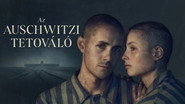 Le Tatoueur d'Auschwitz  
