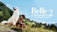 Belle et Sébastien, l'aventure continue wallpaper 