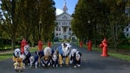 Pup Academy : L'école secrète  