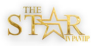 Logo of The Star image size 481x248