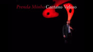 Caetano Veloso - Prenda Minha wallpaper 