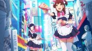 Akiba Maid War  