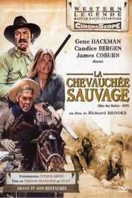 Voir film La Chevauchée Sauvage en streaming