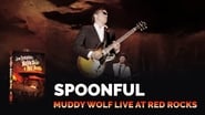 Joe Bonamassa - Muddy Wolf at Red Rocks wallpaper 