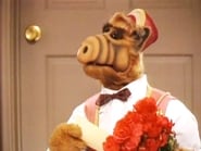 Alf season 3 episode 6