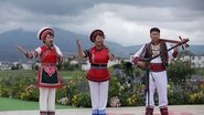 花儿绽放  