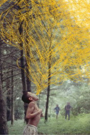 gallery-thumbnail