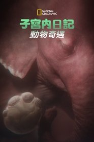 gallery-thumbnail