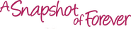 Logo of A Snapshot of Forever image size 1797x399
