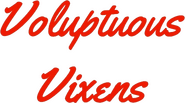 Logo of Voluptuous Vixens image size 504x280