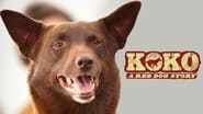 Koko: A Red Dog Story wallpaper 