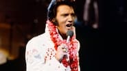 Elvis: Aloha from Hawaii via Satellite 1973 wallpaper 