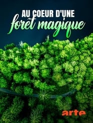 Au cœur d'une forêt magique