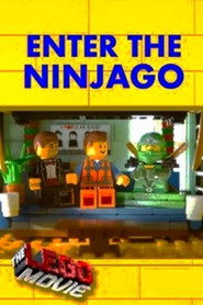 Enter the Ninjago poster