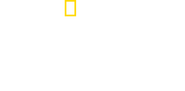 Logo of No Taste Like Home with Antoni Porowski image size 2649x1300