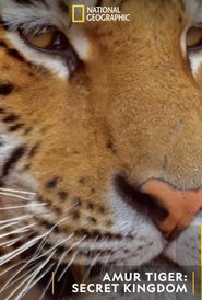 poster Siberian Tiger, The Secret Kingdom