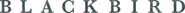Logo of Black Bird image size 4657x324
