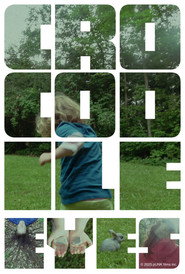 Crocodile Eyes poster