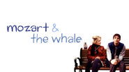 Backdrop of Mozart and the Whale image size 1920x1080