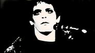 Classic Albums : Lou Reed - Transformer wallpaper 