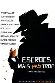 Voir film Escrocs mais pas trop en streaming