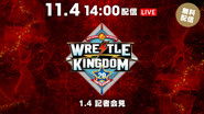 Backdrop of NJPW Wrestle Kingdom 20 image size 1920x1080