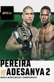 Poster of UFC 287: Pereira vs. Adesanya 2 image size 500x750