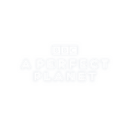 Logo of A Perfect Planet image size 1273x1295