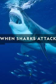 Poster of When Sharks Attack image size 1280x1920