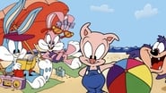 Les Vacances des Tiny Toon wallpaper 