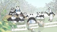 Pandas dans la brume  