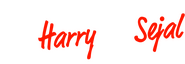 Logo of Jab Harry Met Sejal image size 1276x443