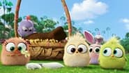 An Easter Message from the Hatchlings of the Angry Birds Movie wallpaper 