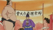 Don't Lose, Chokkaku! The Sumo Tournament