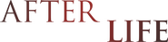Logo of After.Life image size 4319x1100