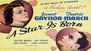 Backdrop of A Star Is Born image size 1280x720