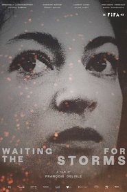 poster Waiting for the Storms
