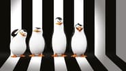 Les Pingouins de Madagascar : Opération recherche et sauvetage wallpaper 