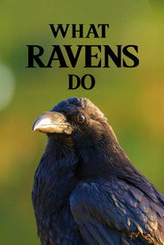 What Ravens Do poster