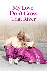poster My Love, Don't Cross That River