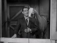 Monsieur Ed, le cheval qui parle season 1 episode 14