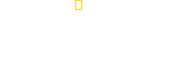 Logo of King Tut In Color image size 1920x867