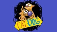 Backdrop of CatDog image size 3840x2160