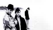 Stranger Than Paradise wallpaper 