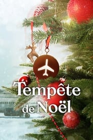 serie streaming - Tempête de Noël streaming