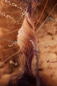 poster On the 8th Day